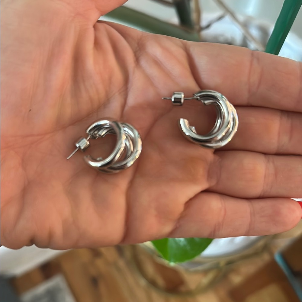 Stainless steel Silver Fan-Shaped Earrings